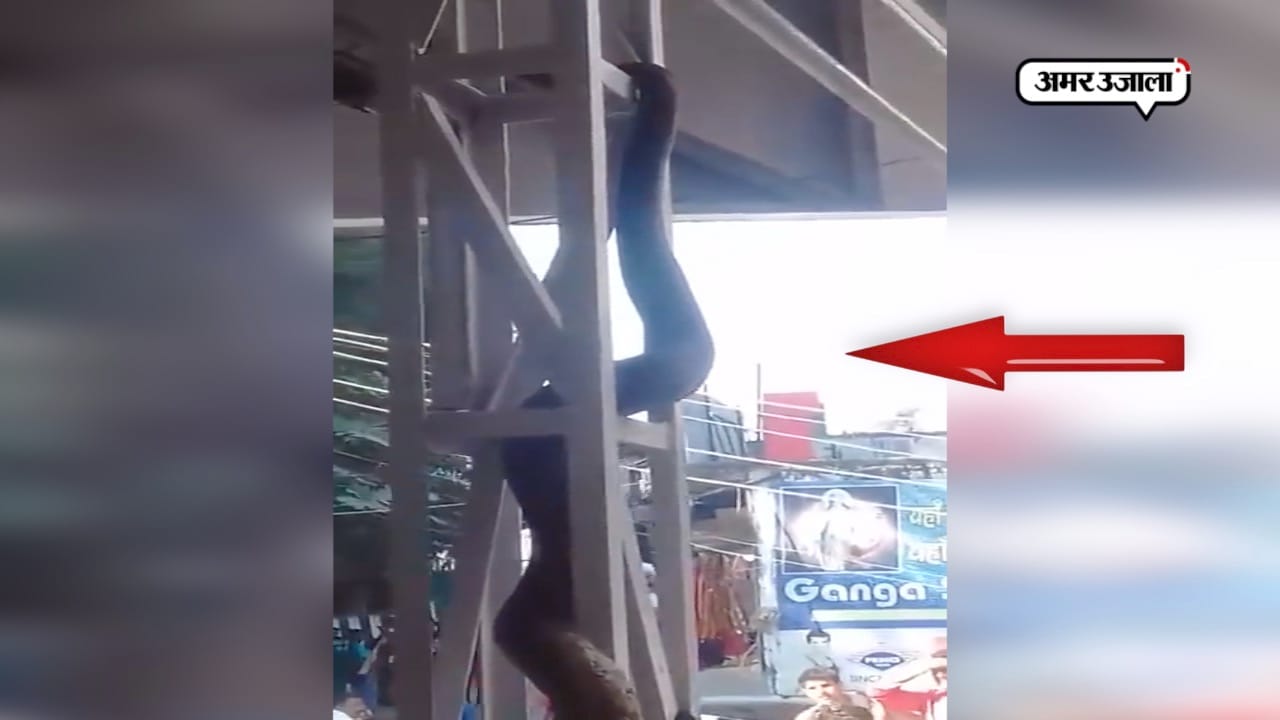 अजगर