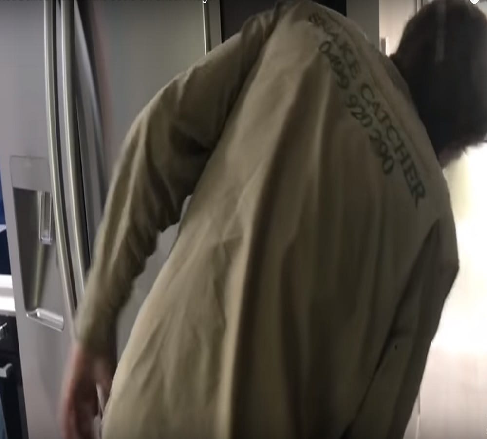 five feet snake crawling under a fridge inside a house