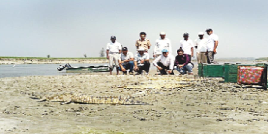 Gaudhialas Bhai Ganga, athletes doing away with