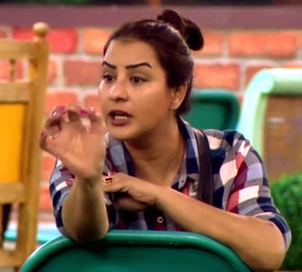 gehana vashisth reveal that shilpa shinde and vikas gupta were in physical relationship