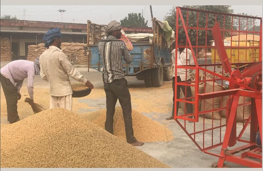 action taken against 13 rice mill owners
