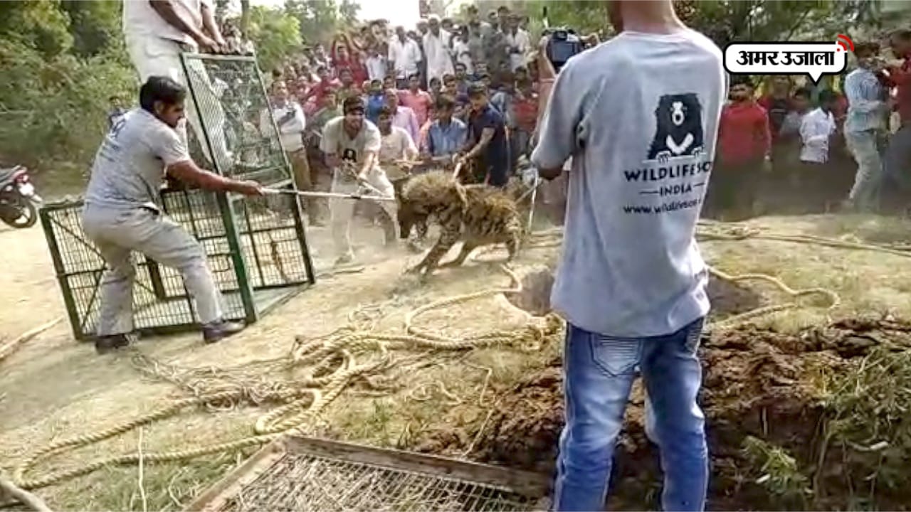 आगरा न्यूज़ 