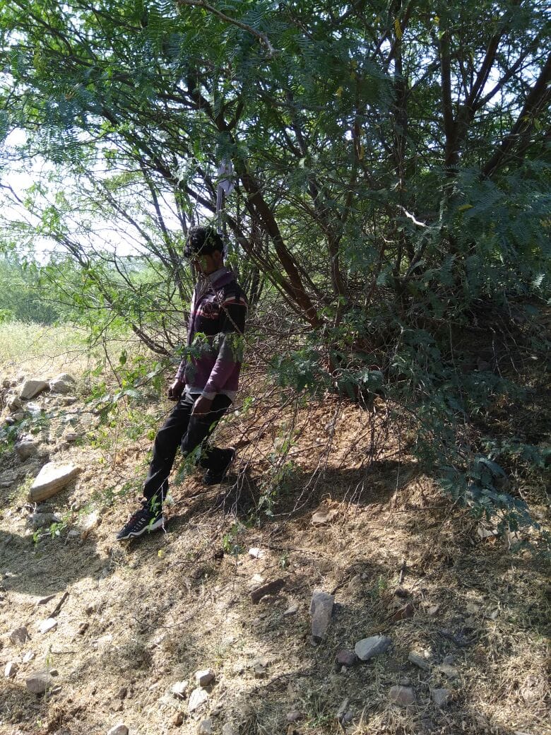 man committed suicide by hanging himself on a tree in ajmer 