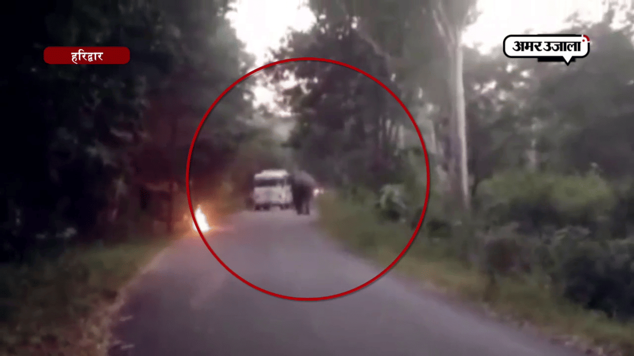 हरिद्वार 