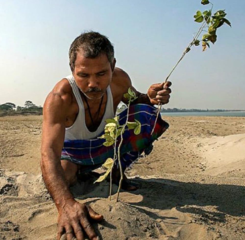 Meet forest man of india jadav molai payeng the man who grew a 1360 acre forest 