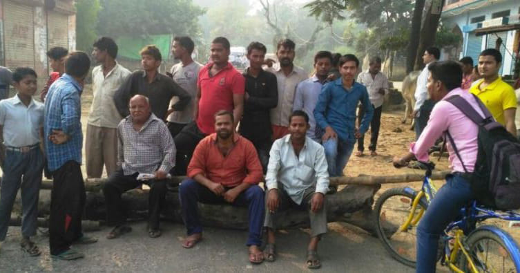 monkey pushed, injured lady collapsed