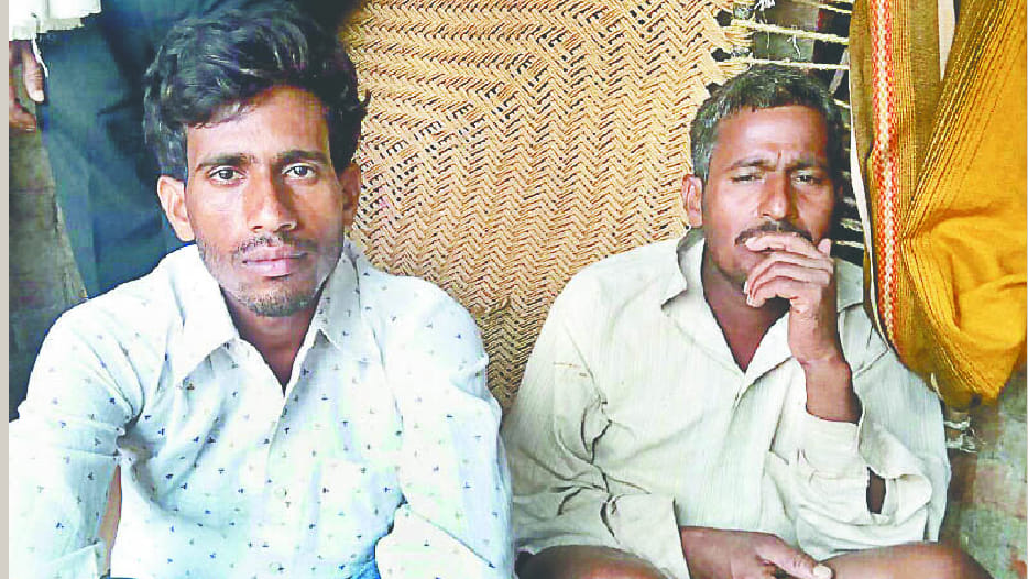 suicidial case of lovebirds 