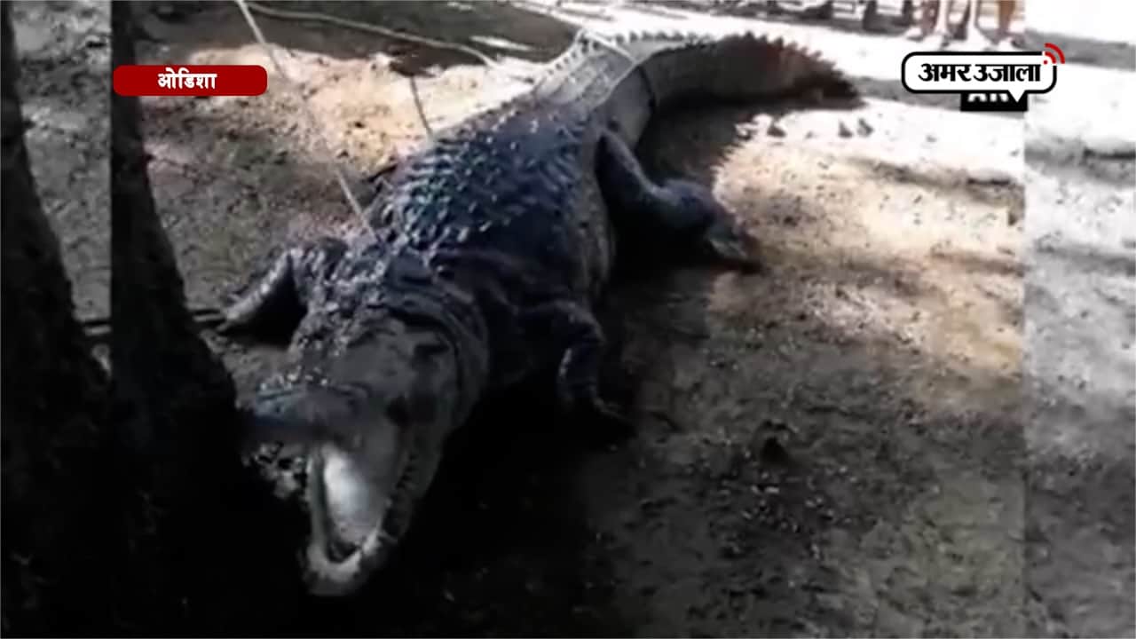 मलकानगिरी 