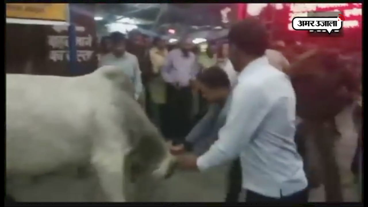 मथुरा 