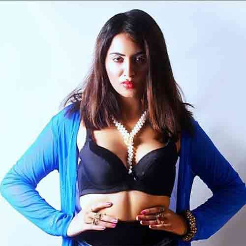 bigg boss 11 arshi khan pune goa scandal video viral