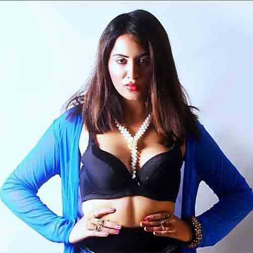 bigg boss 11 arshi khan pune goa scandal video viral