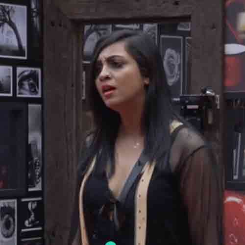 bigg boss 11 ARSHI KHAN DIRTY TALK WITH PRIYANK AND SABYASCAHI