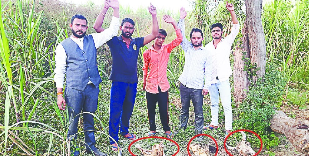 The ruckus of Bajrang Dal activists on Govansh Katan, not reaching police