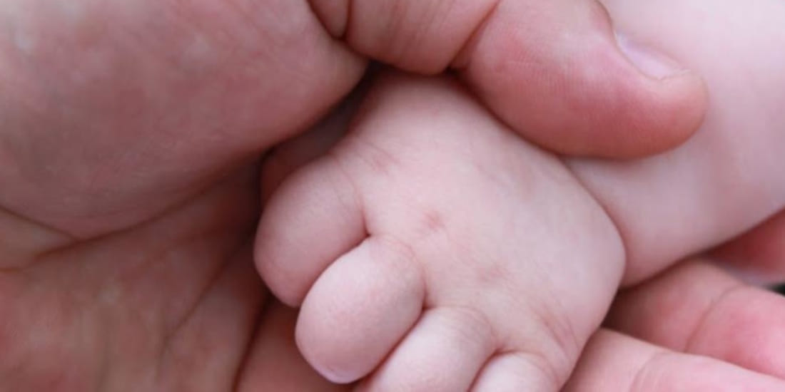 Dogs were nodging body of newborn in front of hospital