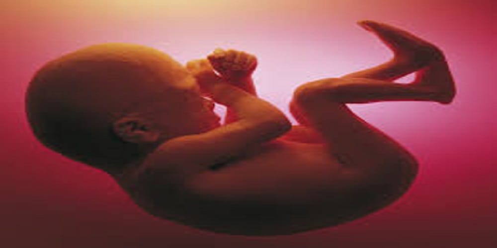 foetus found in road side, police investigating