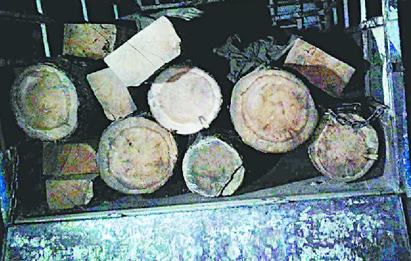 देवदार के 12 स्लीपरों के साथ चार गिरफ्तार