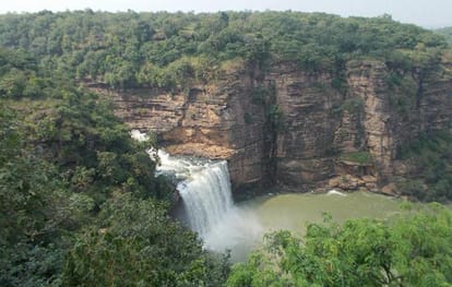 Chandra Prabha Wildlife Sanctuary waiting for his king