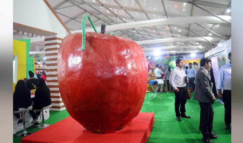 world food india held at india gate where people faced jam problems