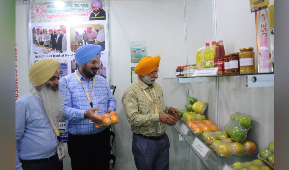 world food india held at india gate where people faced jam problems