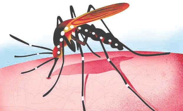 Teenager dies of viral fever
