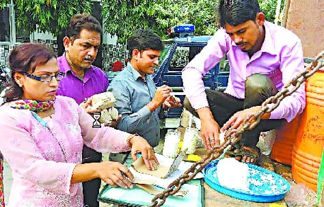 54 thousand pieces of adulterated cheese was destroyed