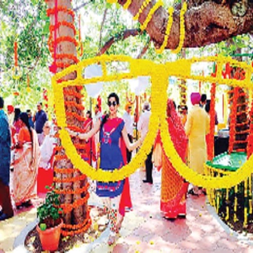 The color of the Mehndi ascended on weddings, see photos