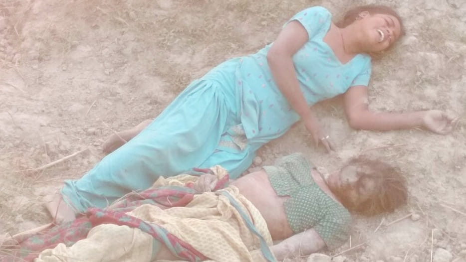 angry buffalo killed husband and wife