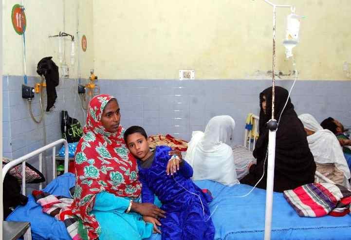No Dengue, Viral Woes
