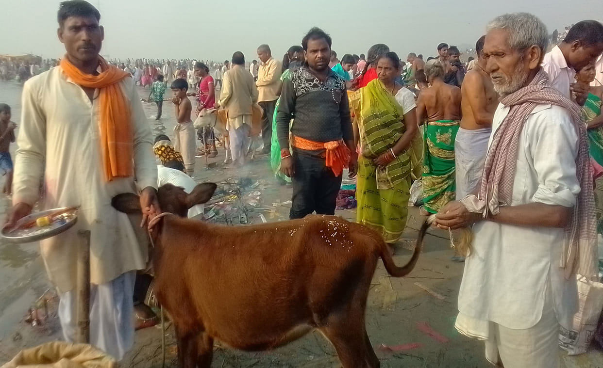 kartik purnima celebrated