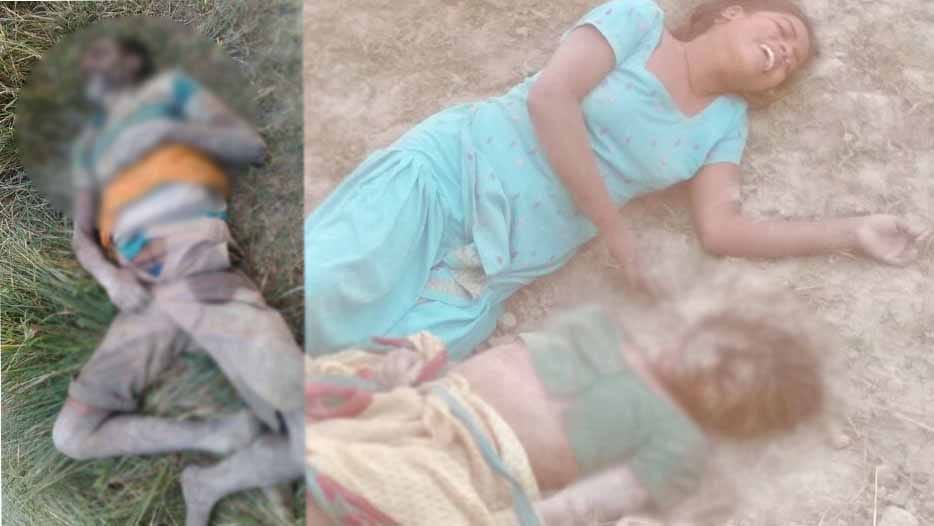 angry buffalo killed husband and wife