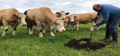 farmer use underwear to know the fertile part of the farm