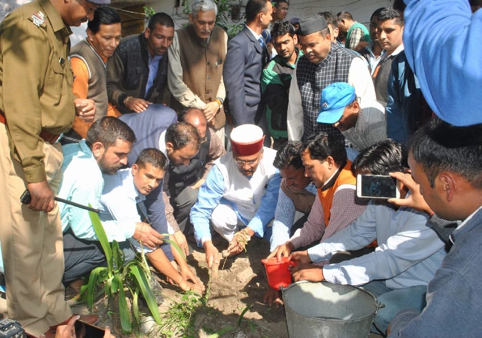 CM Trivendra singh rawat planted a plant in memory of martyr suraj