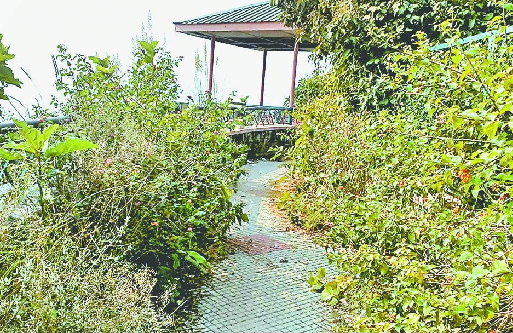 Crowds of people visiting the view point
