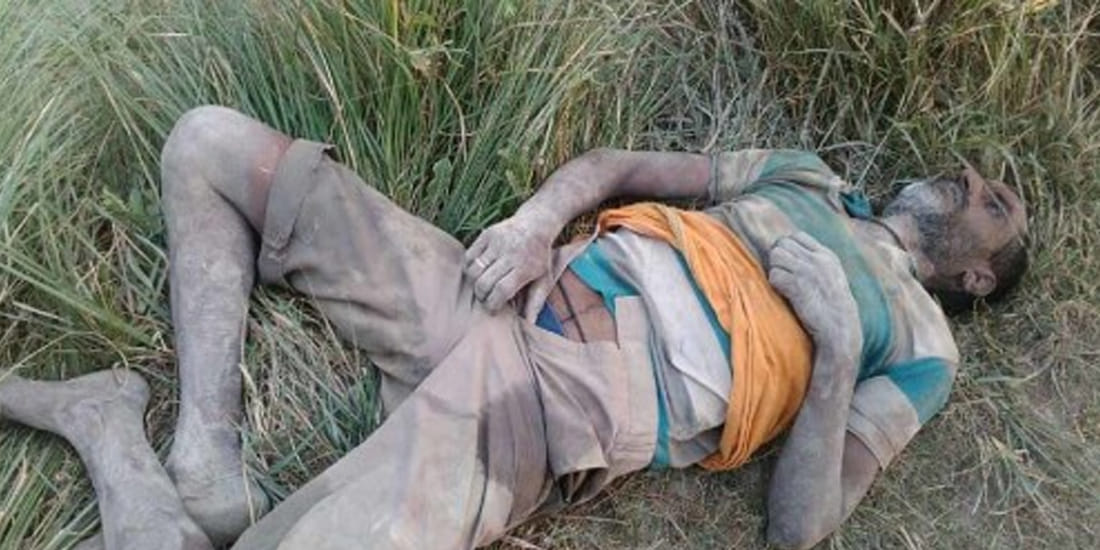 Buffalo killed husband and wife by crushing with horns