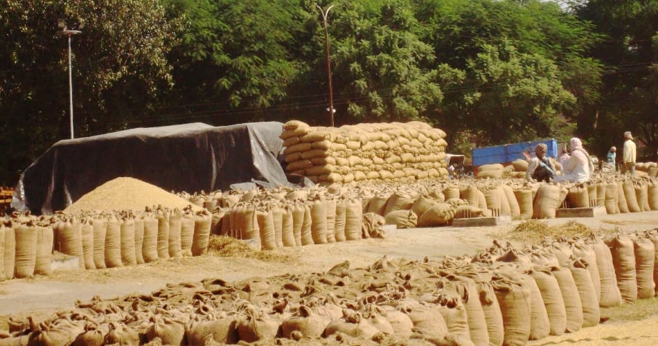 World largest grain storage scheme to start from Jammu Kashmir, land marked Kathua