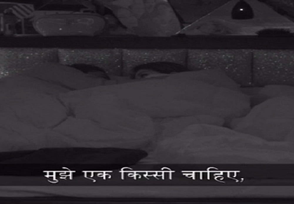 big boss contestants puneesh and bandagi kissed each other during show