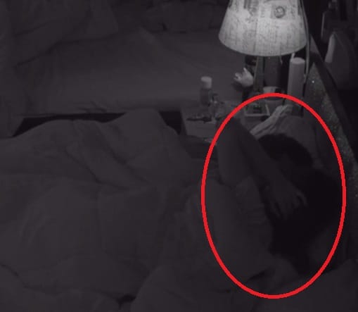 Bigg Boss 11 Contestant Puneesh Sharma and Bandgi Kalra Kiss Each Other In Bed