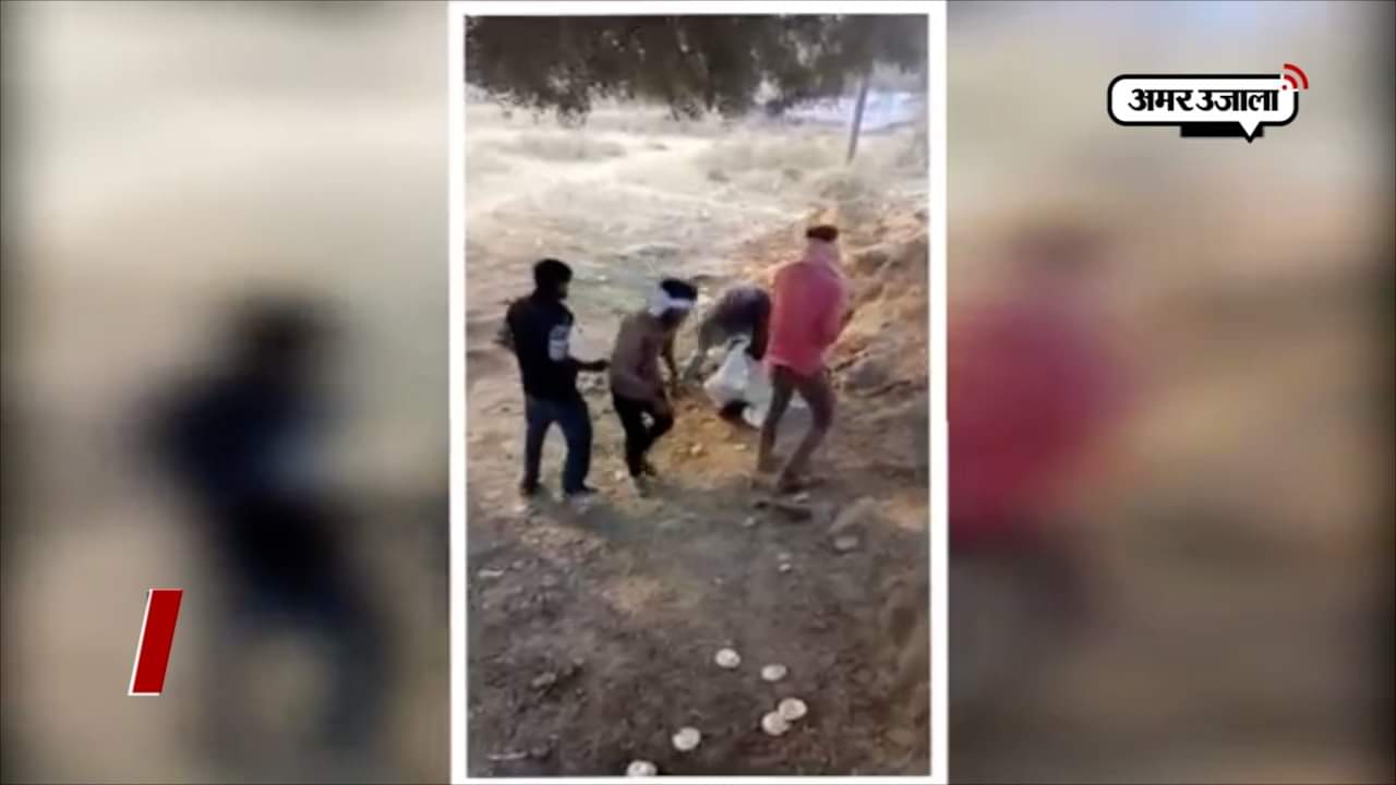 भिंड दलित