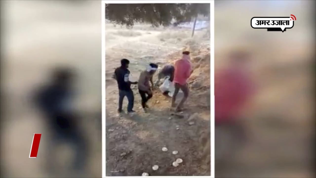 भिंड दलित