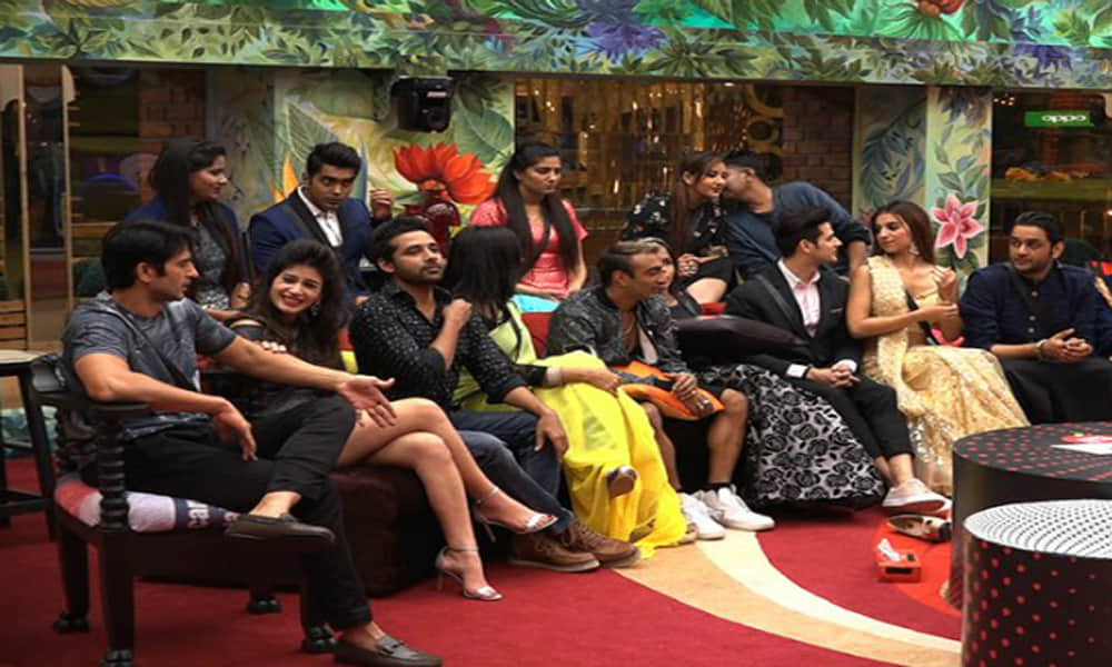 These Bigg Boss 11 Contestants Will Be In Top Five