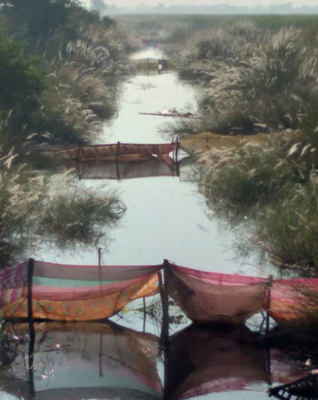 गन्ना के खेतों में भर गया पानी