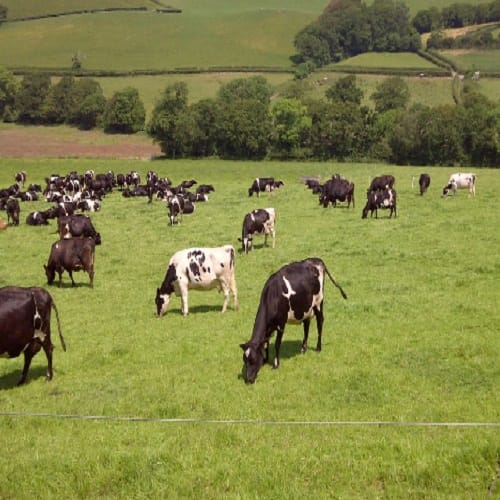 Moray farmer uses underwear to test soil fertility in Scotland 