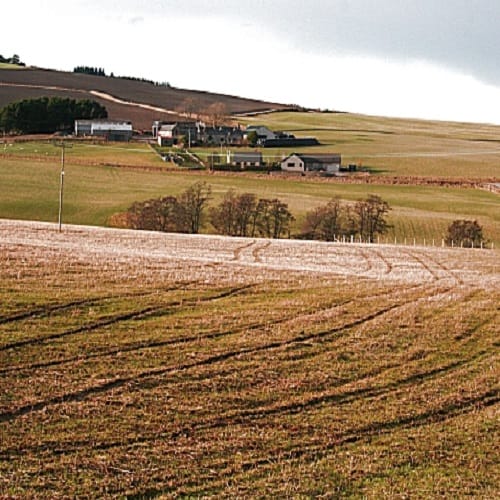 Moray farmer uses underwear to test soil fertility in Scotland 