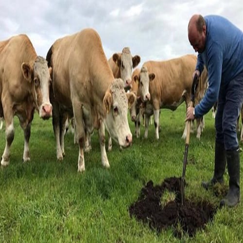 Moray farmer uses underwear to test soil fertility in Scotland 
