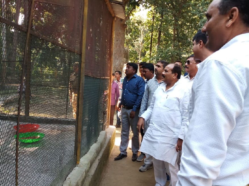 विनोद वन पहुंचे वन मंत्री, ली जानकारी