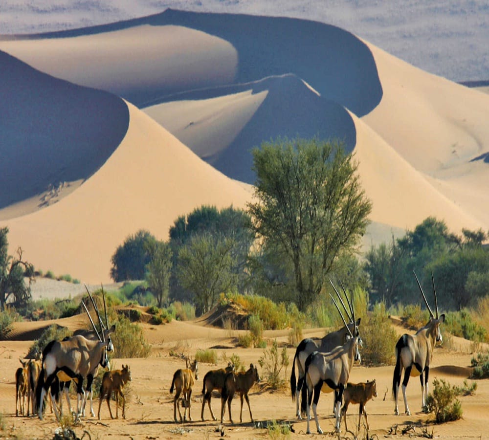 Namibia trip with Namib tribal people