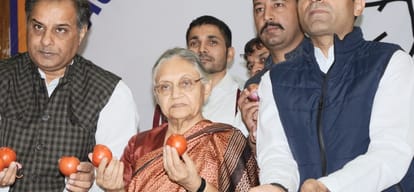 himachal assembly election ex delhi cm sheila dixit pic in shimla