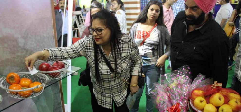 in world food india event people came to see the world food culture, view pics