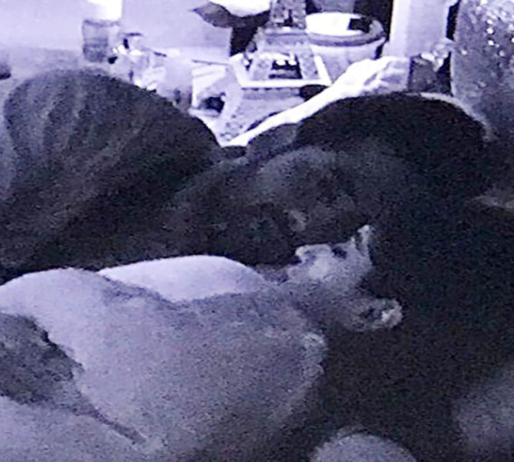 fans angry on puneesh and bandagi liplock scene bigg boss show