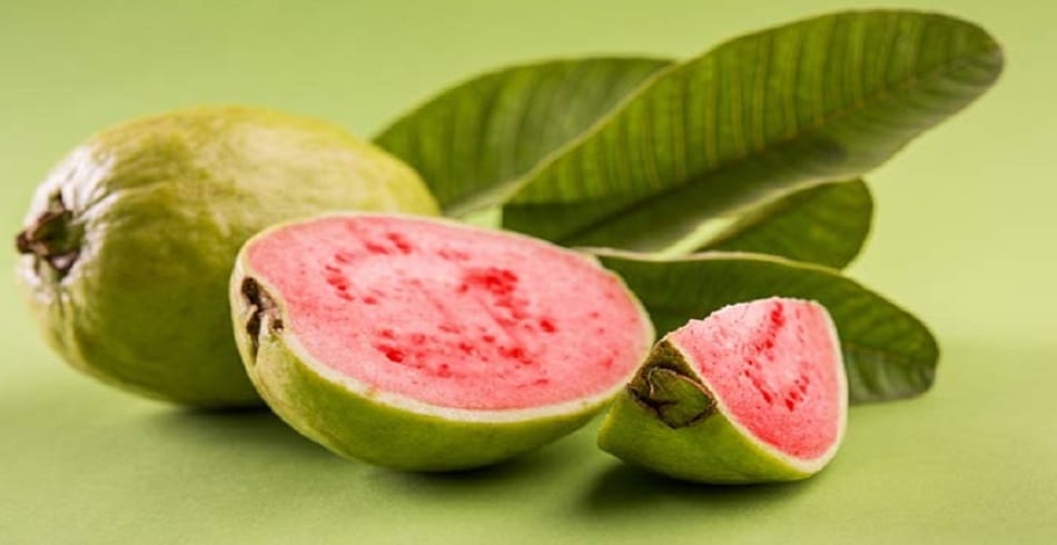 guava is beneficial for weight loss